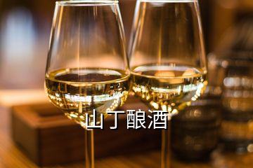 山丁釀酒