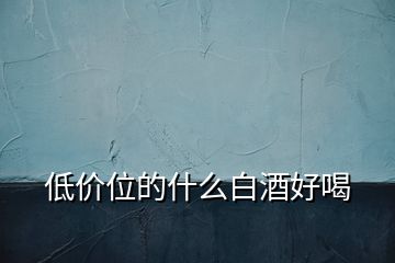 低價(jià)位的什么白酒好喝