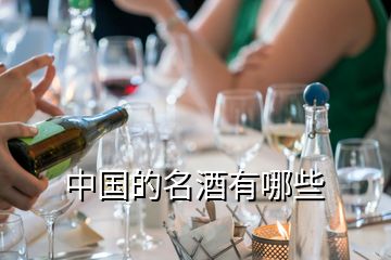 中國的名酒有哪些