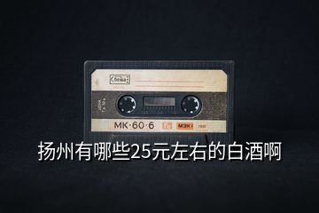 揚州有哪些25元左右的白酒啊
