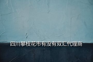 四川攀枝花市有沒有雙匯代理商