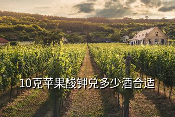 10克蘋(píng)果酸鉀兌多少酒合適