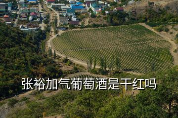 張裕加氣葡萄酒是干紅嗎