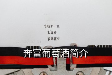 奔富葡萄酒簡(jiǎn)介