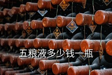 五糧液多少錢(qián)一瓶