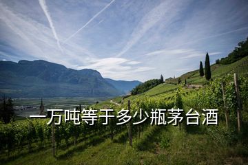 一萬(wàn)噸等于多少瓶茅臺(tái)酒