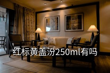 紅標(biāo)黃蓋汾250ml有嗎