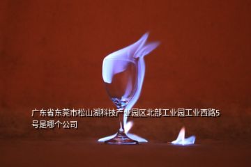 廣東省東莞市松山湖科技產(chǎn)業(yè)園區(qū)北部工業(yè)園工業(yè)西路5號(hào)是哪個(gè)公司
