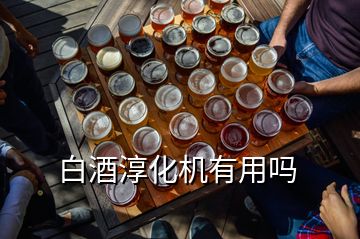 白酒淳化機(jī)有用嗎