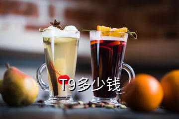 T9多少錢(qián)