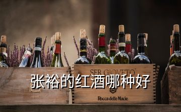 張?jiān)５募t酒哪種好