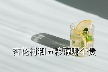 杏花村和五糧醇哪個貴