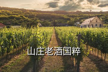 山莊老酒國(guó)粹