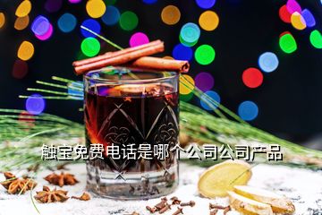觸寶免費電話是哪個公司公司產(chǎn)品