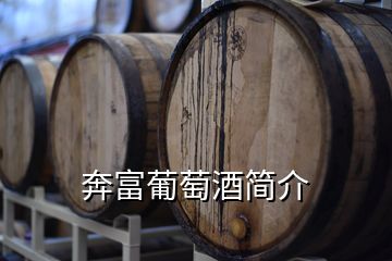 奔富葡萄酒簡(jiǎn)介