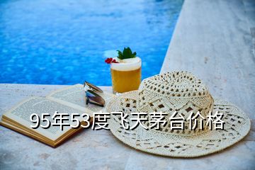 95年53度飛天茅臺(tái)價(jià)格