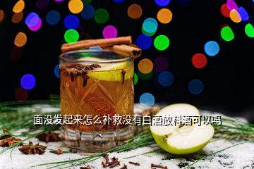 面沒發(fā)起來怎么補(bǔ)救沒有白酒放料酒可以嗎