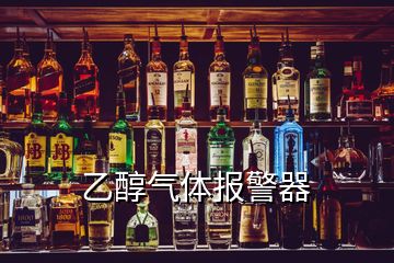 乙醇?xì)怏w報(bào)警器