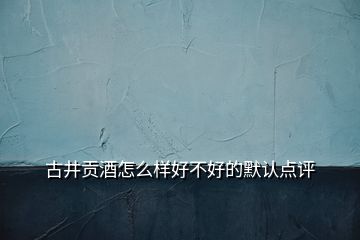 古井貢酒怎么樣好不好的默認(rèn)點(diǎn)評(píng)