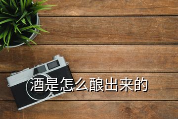 酒是怎么釀出來的