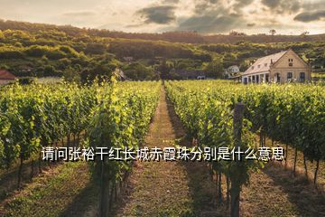 請(qǐng)問張?jiān)８杉t長(zhǎng)城赤霞珠分別是什么意思