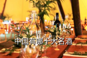 中國(guó)有哪十大名酒