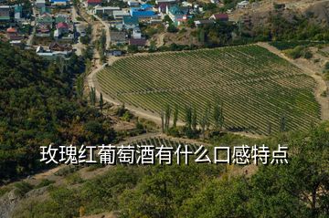 玫瑰紅葡萄酒有什么口感特點
