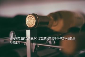 張裕葡萄酒代理需要多少加盟費我的房子40平方米最低啟動資金需