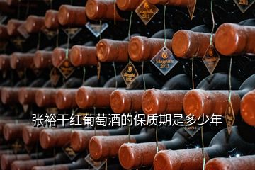 張裕干紅葡萄酒的保質期是多少年