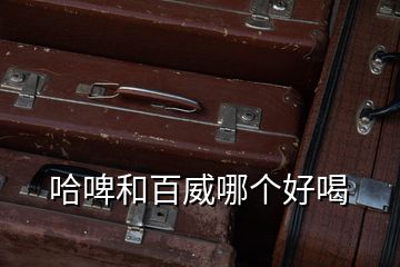哈啤和百威哪個好喝
