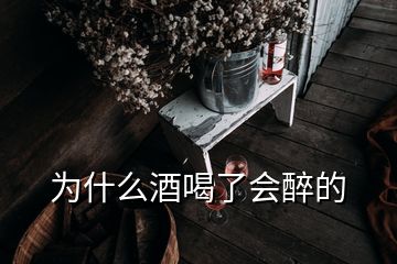 為什么酒喝了會(huì)醉的