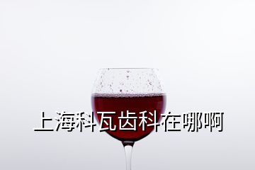 上?？仆啐X科在哪啊
