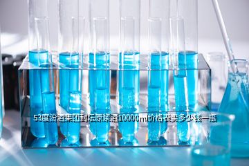 53度汾酒集團(tuán)封壇原漿酒10000ml價格表賣多少錢一瓶