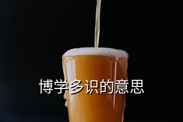 博學(xué)多識的意思