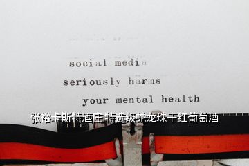 張?jiān)？ㄋ固鼐魄f 特選級蛇龍珠干紅葡萄酒