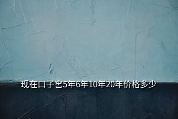 現(xiàn)在口子窖5年6年10年20年價(jià)格多少