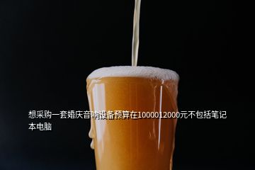 想采購一套婚慶音響設(shè)備預(yù)算在1000012000元不包括筆記本電腦
