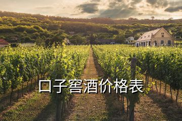 口子窖酒價格表
