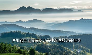瀘州老窖下屬有多少品種的酒都是那些呀