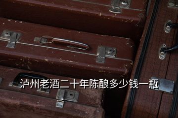 瀘州老酒二十年陳釀多少錢(qián)一瓶