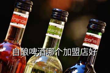 自釀啤酒哪個加盟店好