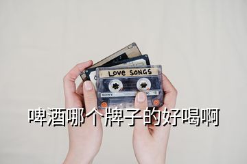 啤酒哪個牌子的好喝啊