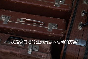 我是做白酒的業(yè)務(wù)員怎么寫(xiě)動(dòng)銷方案