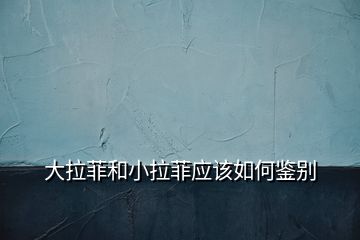 大拉菲和小拉菲應該如何鑒別