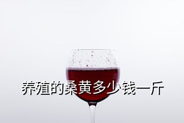 養(yǎng)殖的桑黃多少錢(qián)一斤