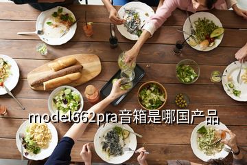 model662pra音箱是哪國產品