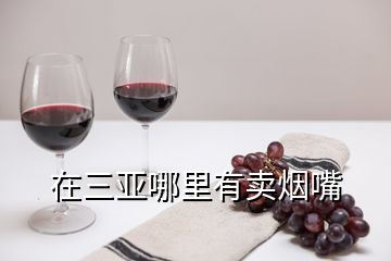 在三亞哪里有賣煙嘴