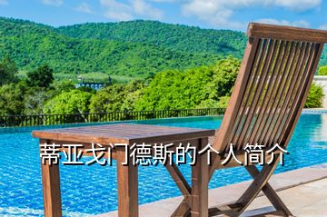 蒂亞戈門(mén)德斯的個(gè)人簡(jiǎn)介