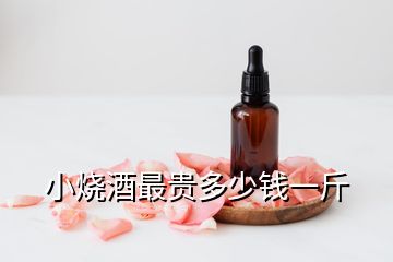 小燒酒最貴多少錢(qián)一斤