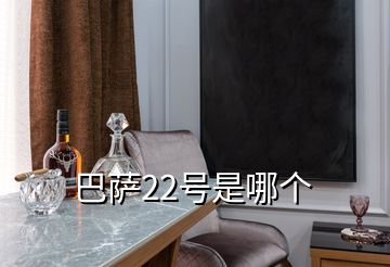 巴薩22號是哪個(gè)